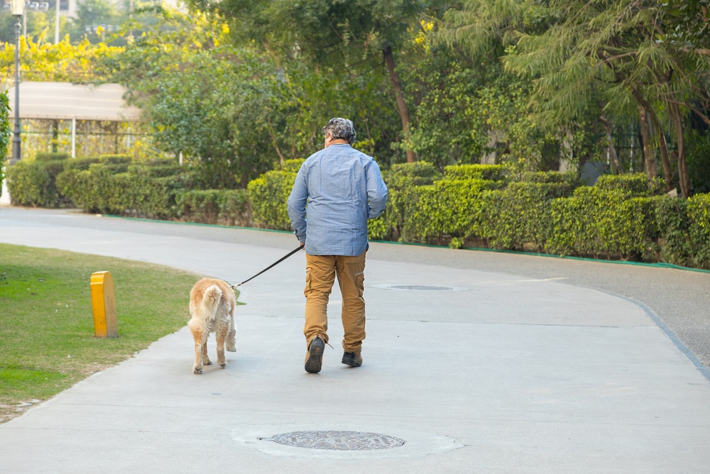 Marche active pour senior : bouger mieux pour vivre mieux