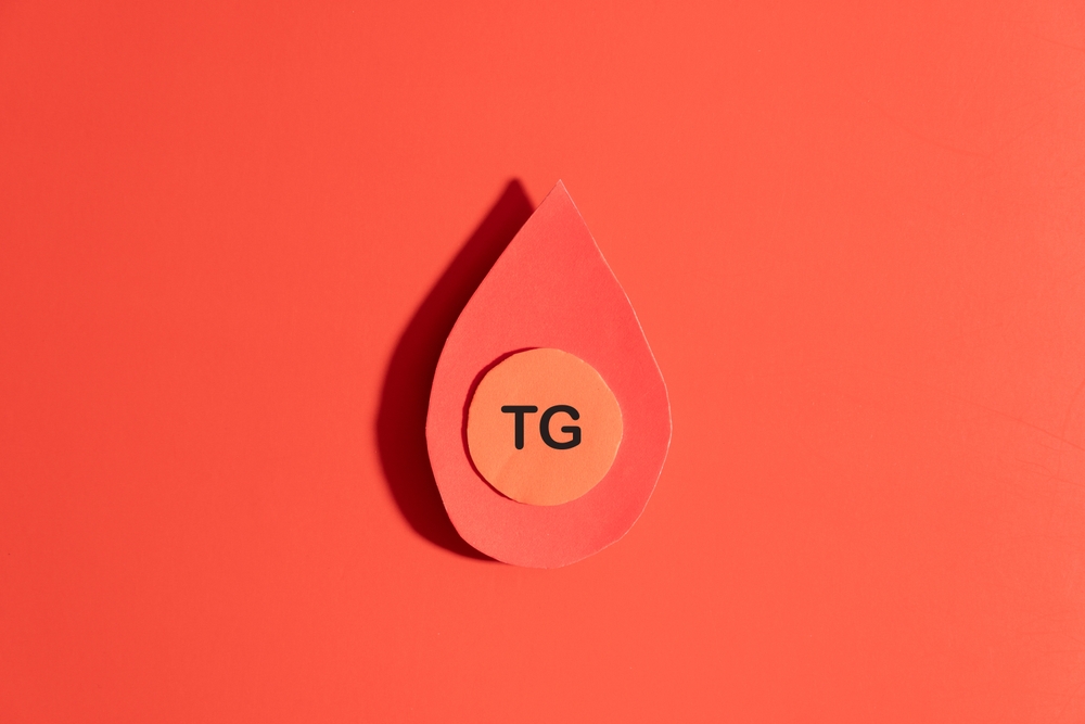 taux-de-triglycerides-eleve-quel-impact-sur-la-sante-apres-60-ans