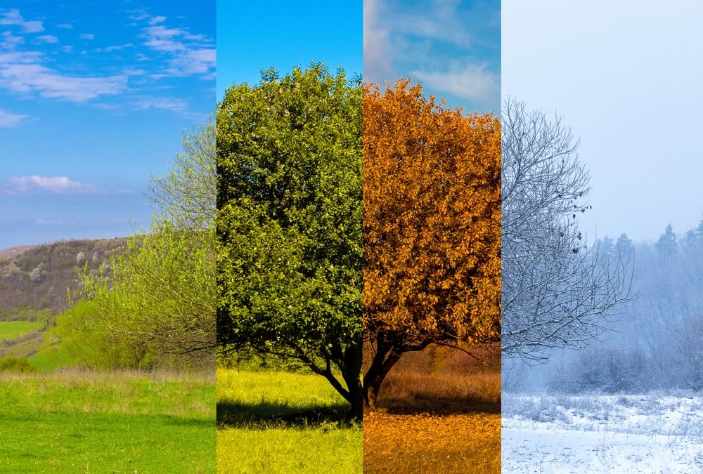 seniors-comment-anticiper-le-changement-de-saison